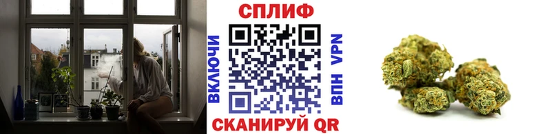 Шишки марихуана семена Саки